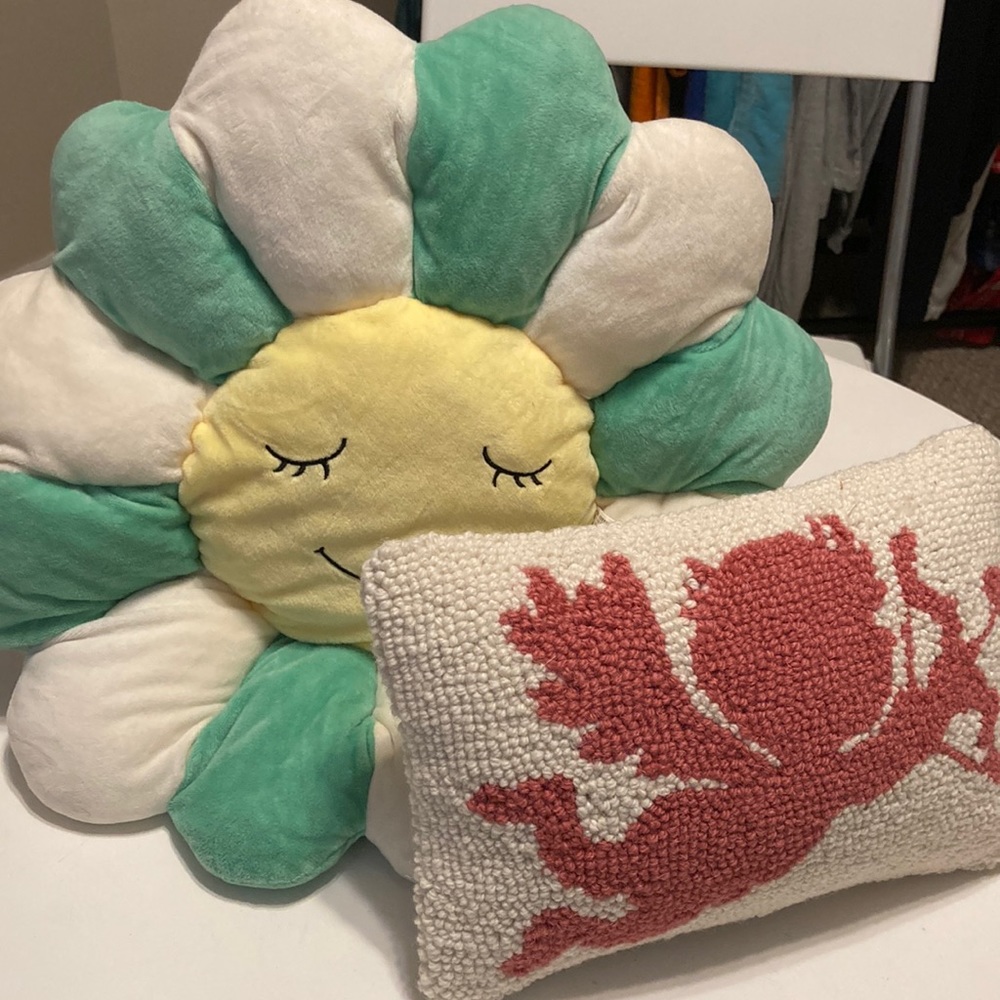 2 trendy accent pillows
